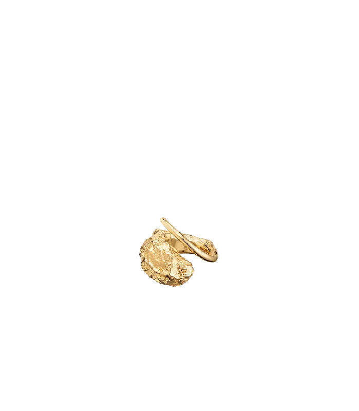 star-shaped cartilage stud earrings Eroz Ring - 24 carat gold gilded