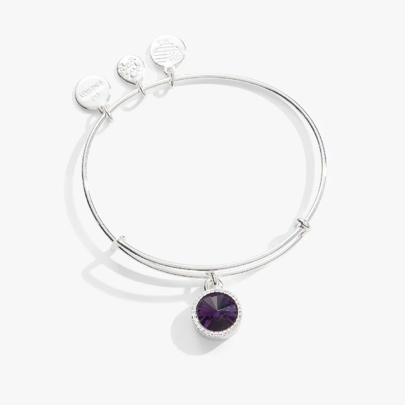 men’s engraved stainless steel bracelet February Birthstone Charm Bangle, Amethyst