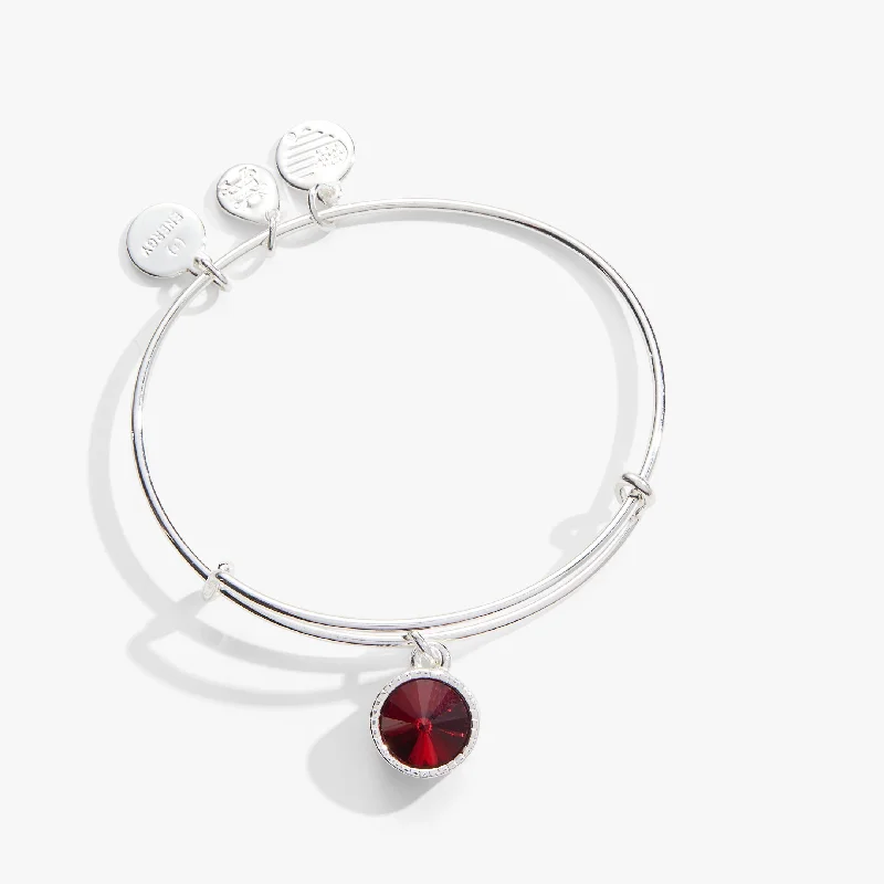 dainty gemstone choker necklace January Birthstone Charm Bangle, Scarlet